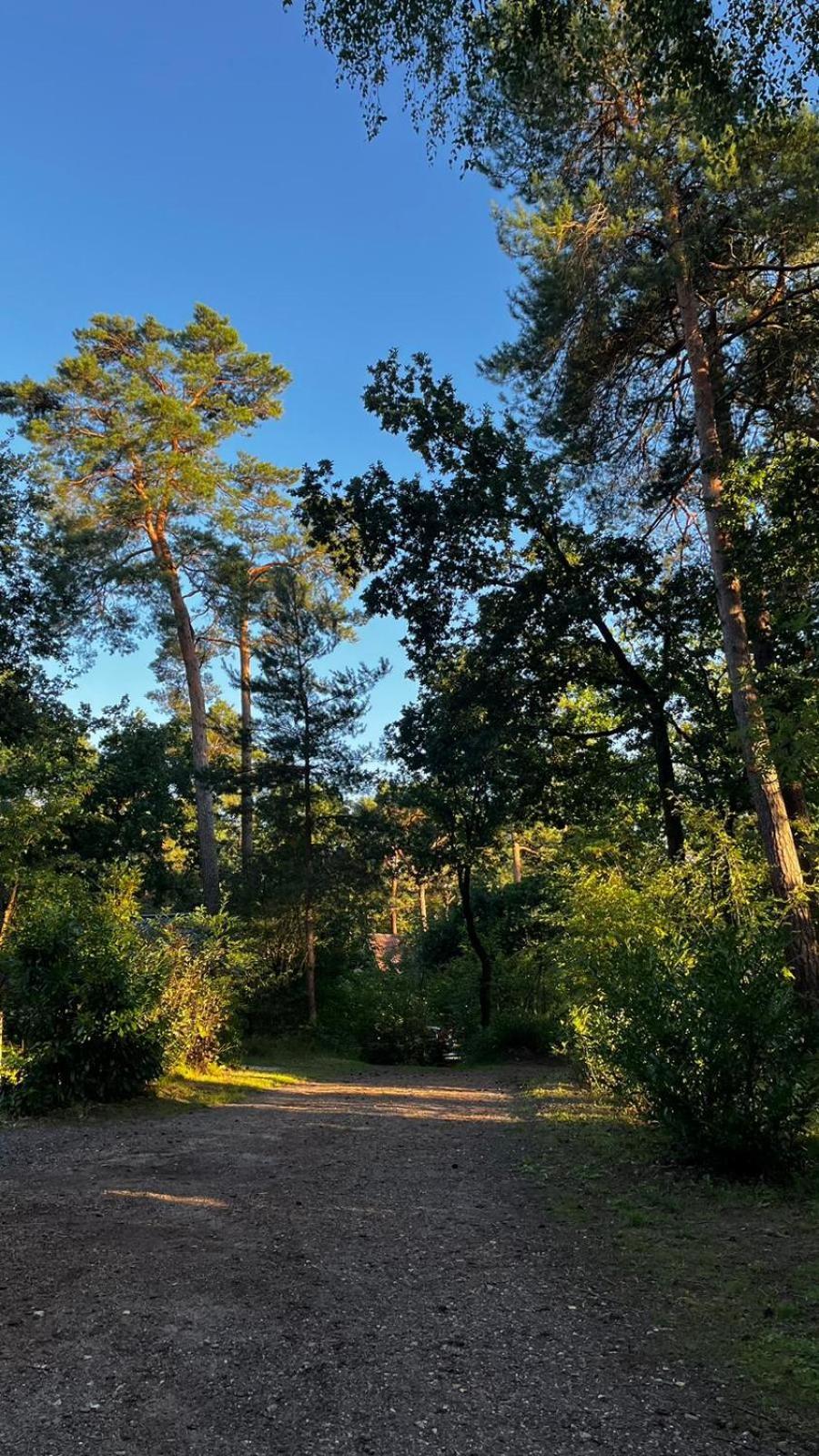 Vakantiehuis Vliegend Hert Veluwe Nunspeet Zewnętrze zdjęcie