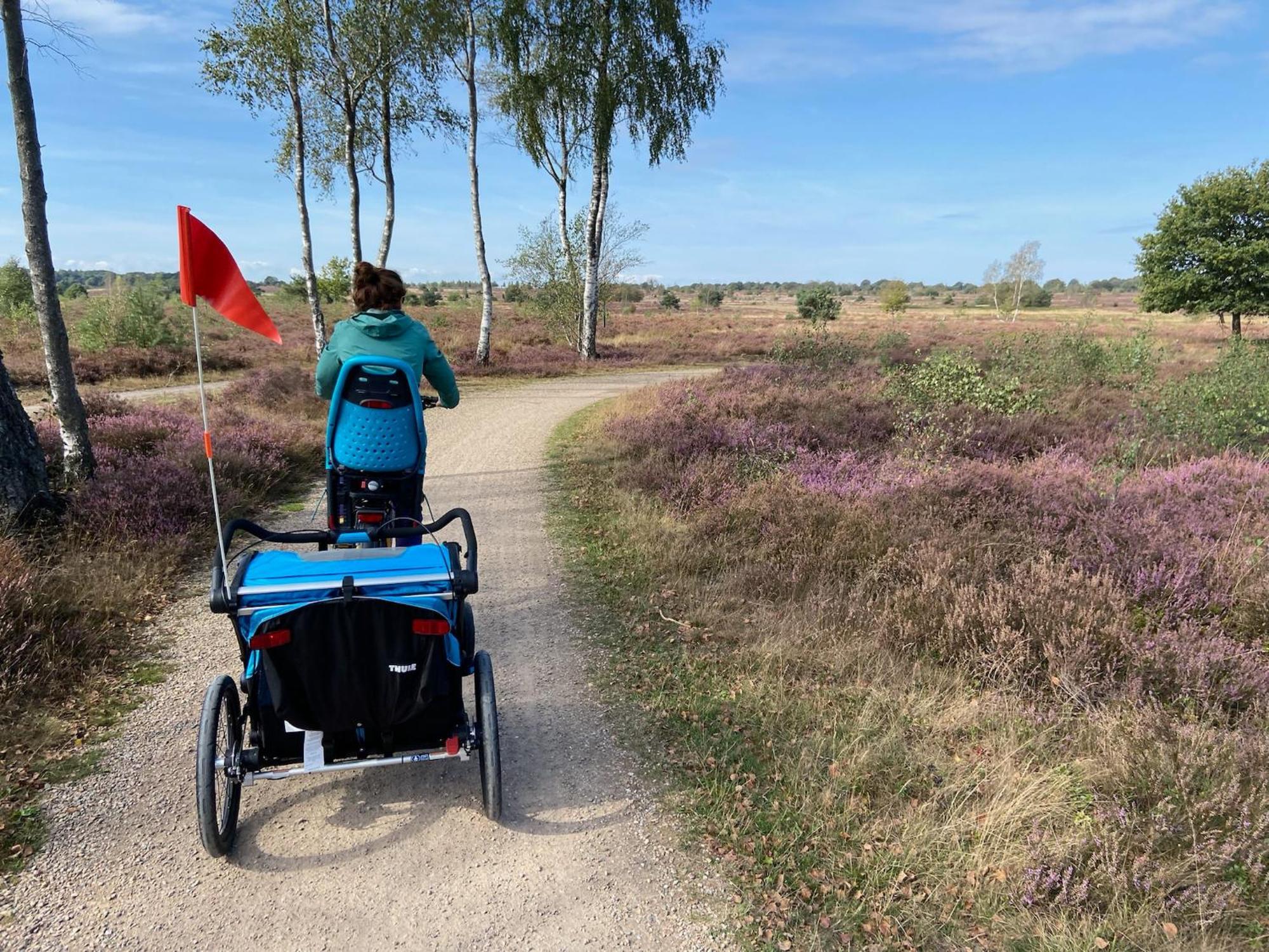 Vakantiehuis Vliegend Hert Veluwe Nunspeet Zewnętrze zdjęcie