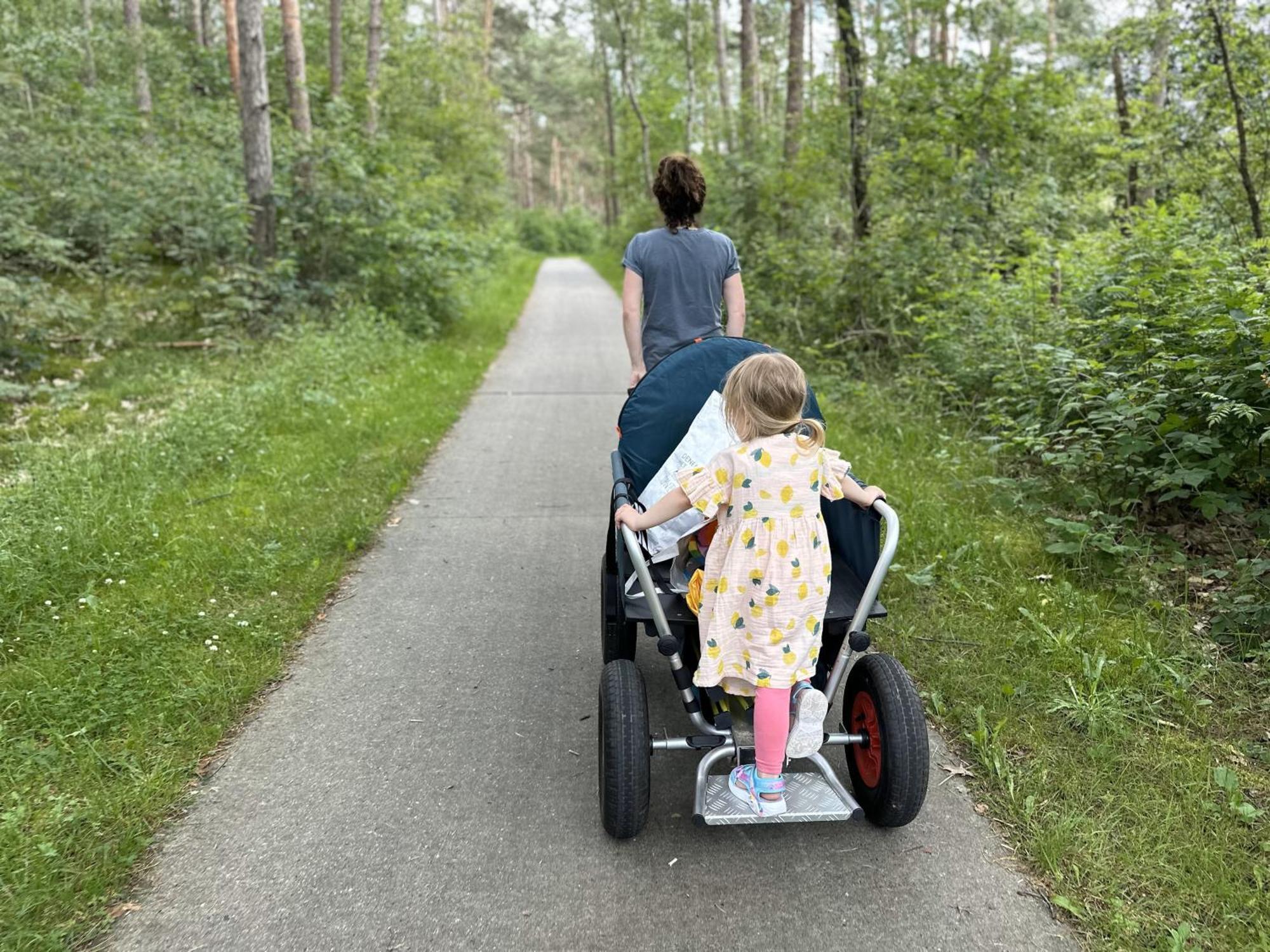 Vakantiehuis Vliegend Hert Veluwe Nunspeet Zewnętrze zdjęcie